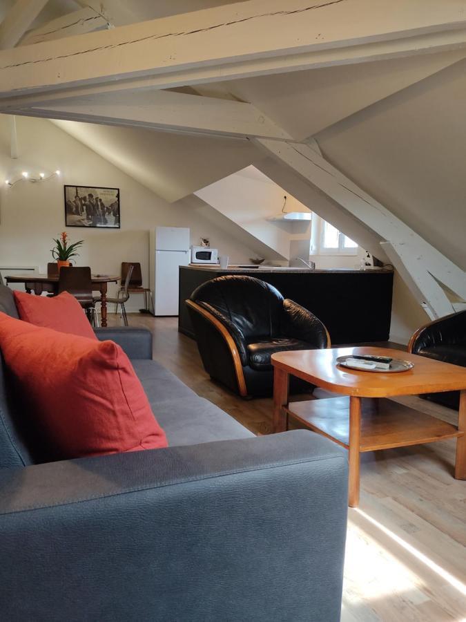 Grand T2 Climatise Tres Calme Apartment Périgueux Екстериор снимка